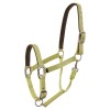 BR Halter Event