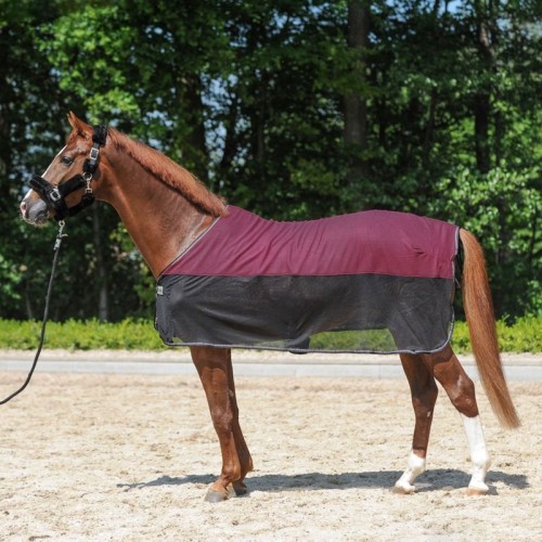 Kavalkade Vliegendeken Fly 'n Fleece