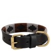 BR dog collar