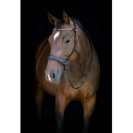HorseGuard SS26HG безтрензельная уздечка