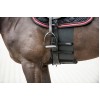 Catago body shield black