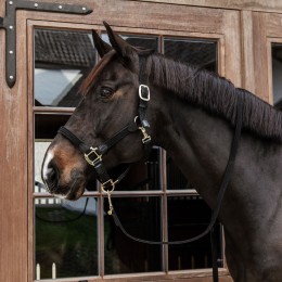 Kentucky Braided нейлоновый недоуздок