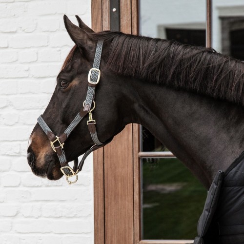 Kentucky Braided Nylon Halter