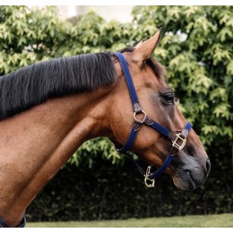 Kentucky Braided нейлоновый недоуздок