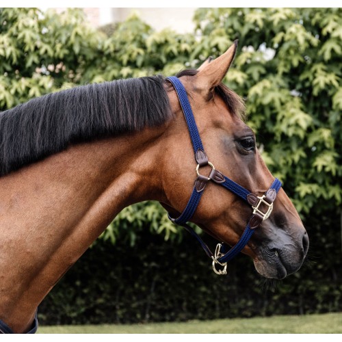 Kentucky Braided Nylon Halter