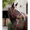 Kentucky Braided Nylon Halter