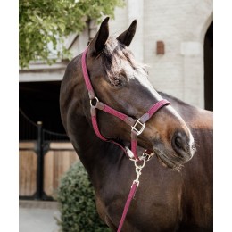 Kentucky Braided нейлоновый недоуздок