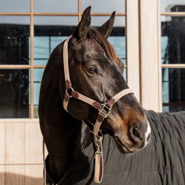 Kentucky Braided нейлоновый недоуздок