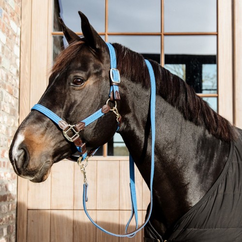 Kentucky Braided Nylon Halter