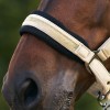 Imperial Riding SS26 Halter IRHJewel Mesh