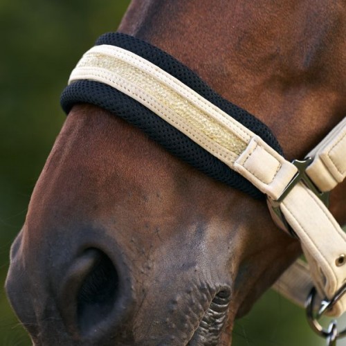 Imperial Riding SS26 Halter IRHJewel Mesh
