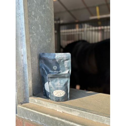 Horsegum Horse Chewing Gum