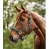Waldhausen SS26 Halter Satin