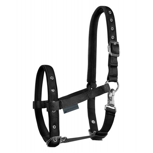Waldhausen Comfort Foal Halter
