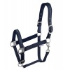 Waldhausen Halter Athletic