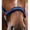 Waldhausen Halter Athletic