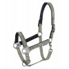 Waldhausen Halter Athletic