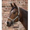 Waldhausen Halter Athletic