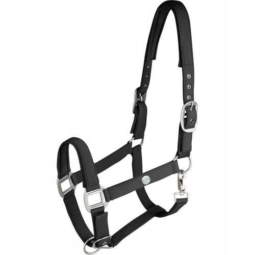 Waldhausen Halter Trinidad