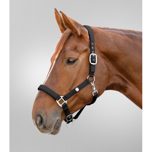 Waldhausen Halter Trinidad