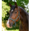 Waldhausen Halter Trinidad