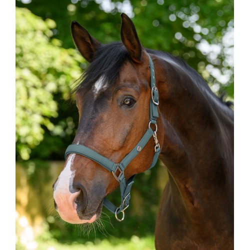 Waldhausen Halter Trinidad
