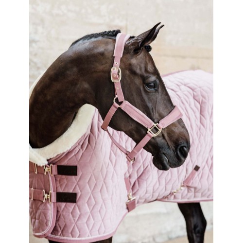Kentucky Velvet Halter