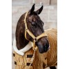 Kentucky Velvet Halter