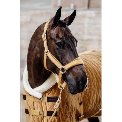 Kentucky Velvet Halter