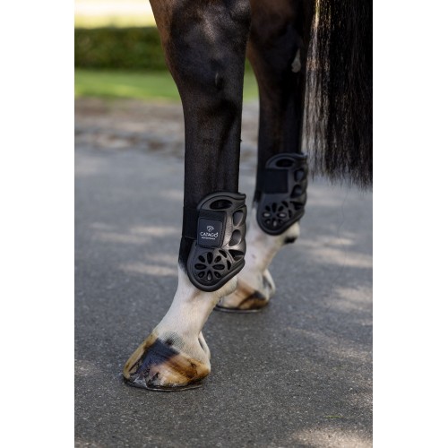 Catago Eva Fetlock boots