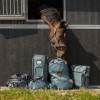 QHP SS26 Boot bag collection