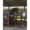 QHP Waterproof Walker Rug 0g
