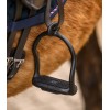 Waldhausen Icelandic Aluminum Stirrups