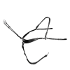 Passier Breastplate powered by Julia Krajewski