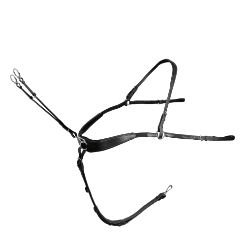 Passier Breastplate powered by Julia Krajewski