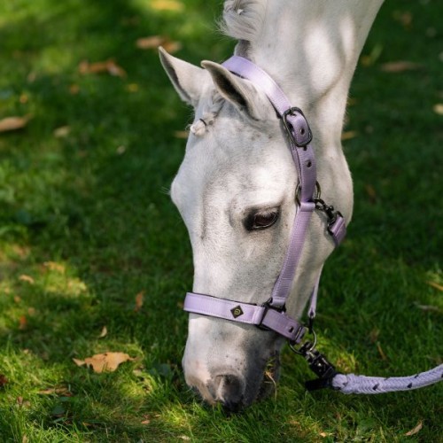 Imperial Riding SS26 Halter IRHRebel