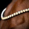 Imperial Riding SS26 Browband IRHGrande