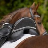 QHP Saddle Jewel Sharina