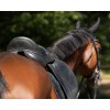 QHP Saddle Jewel Fading