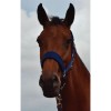 HB Bellwood Halters Fleece Lined