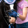 QHP SS26 Rosalynn Glove