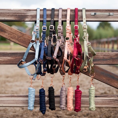 HB Showtime Eclipse Halter Set
