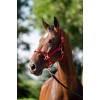 HB Showtime Eclipse Halter Set