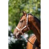 HB Showtime Eclipse Halter Set