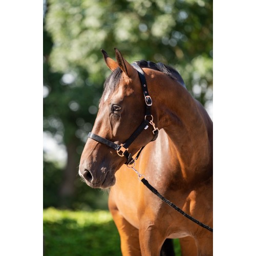 HB Showtime Eclipse Halter Set