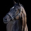 HV Polo SS26 Halter HVPFranka