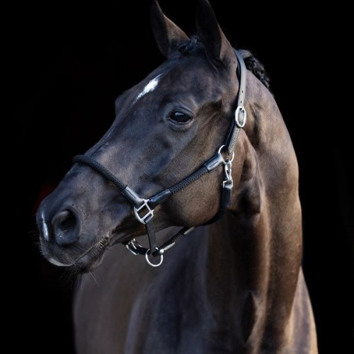 HV Polo SS26 Halter HVPFranka