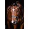 Schockemöhle X Isabell Werth Double Bridle Bella Rose