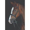 Collegiate Mono Crown Padded Raised Cavesson Bridle