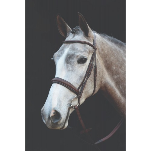 Collegiate Mono Crown Padded Raised Cavesson Bridle